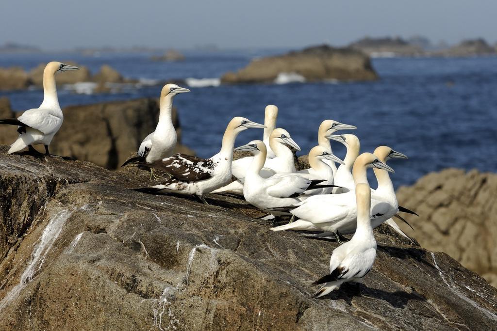 Logis Hotel Ker Mor Perros-Guirec Exterior foto